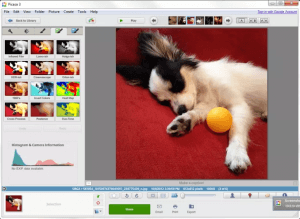 features of picasa
